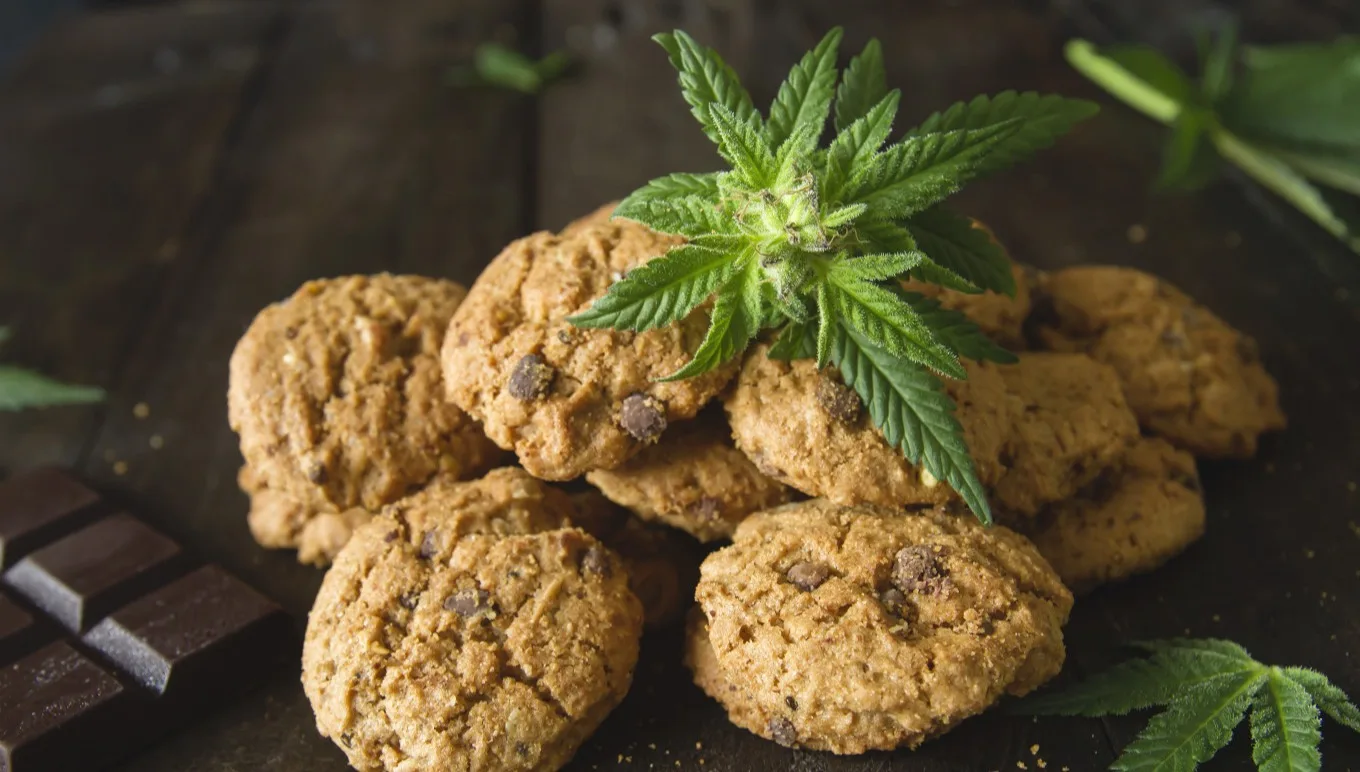 CBD Product Diversity is Creating Scale-Up Opportunities for Cannabis Manufacturers