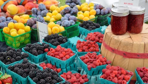 A colorful display of fresh fruits.
