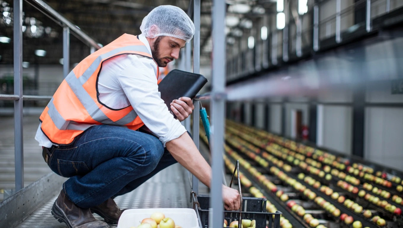 A food facility worker inspects fresh produce.