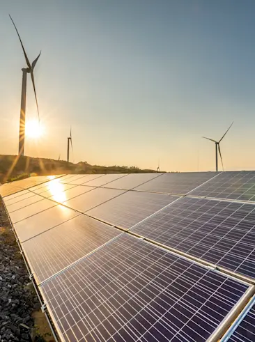 Solar panel field with wind mills