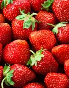 A basket of fresh strawberries