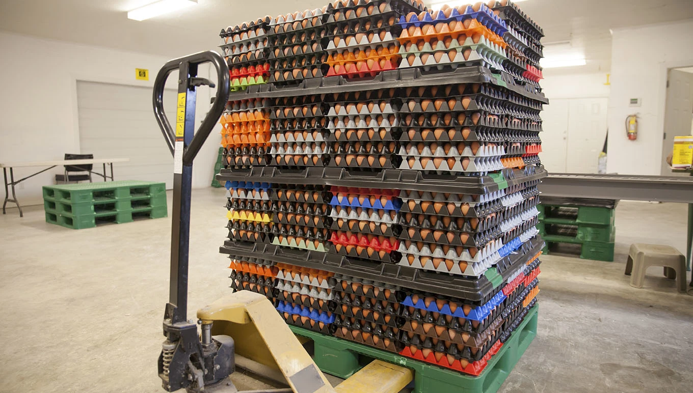 Egg crates stacks on lift in warehouse