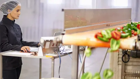 woman controlling peppers conveyor belt