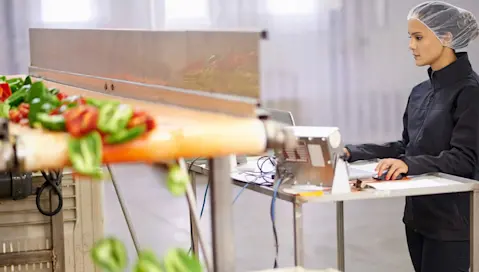 woman controlling peppers conveyor belt