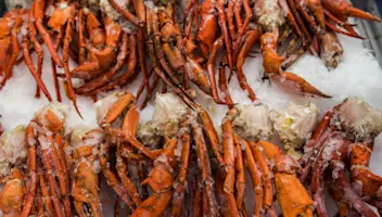 Crab legs on a bed of ice.