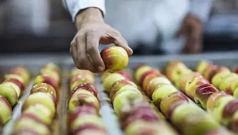 Man in factory picks up fresh apple.