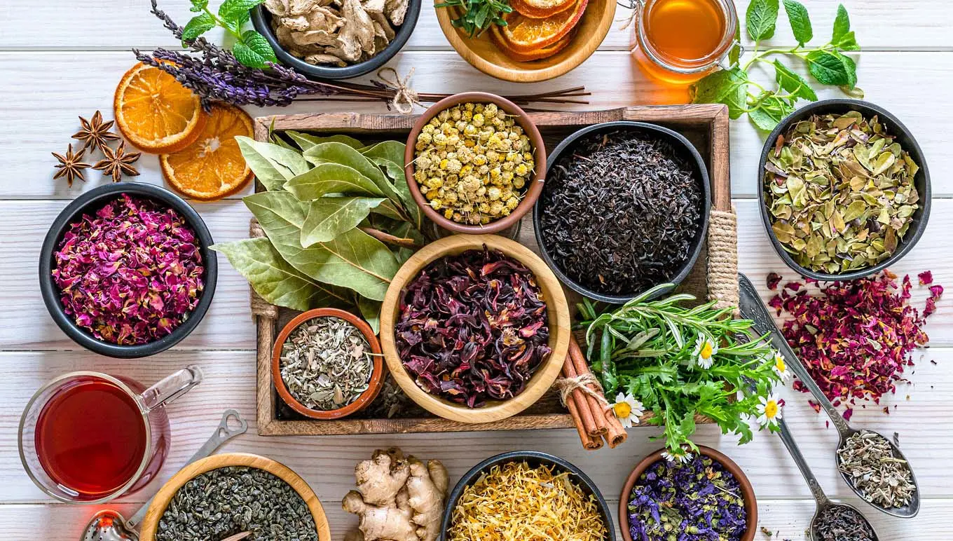 An array of colorful spices.