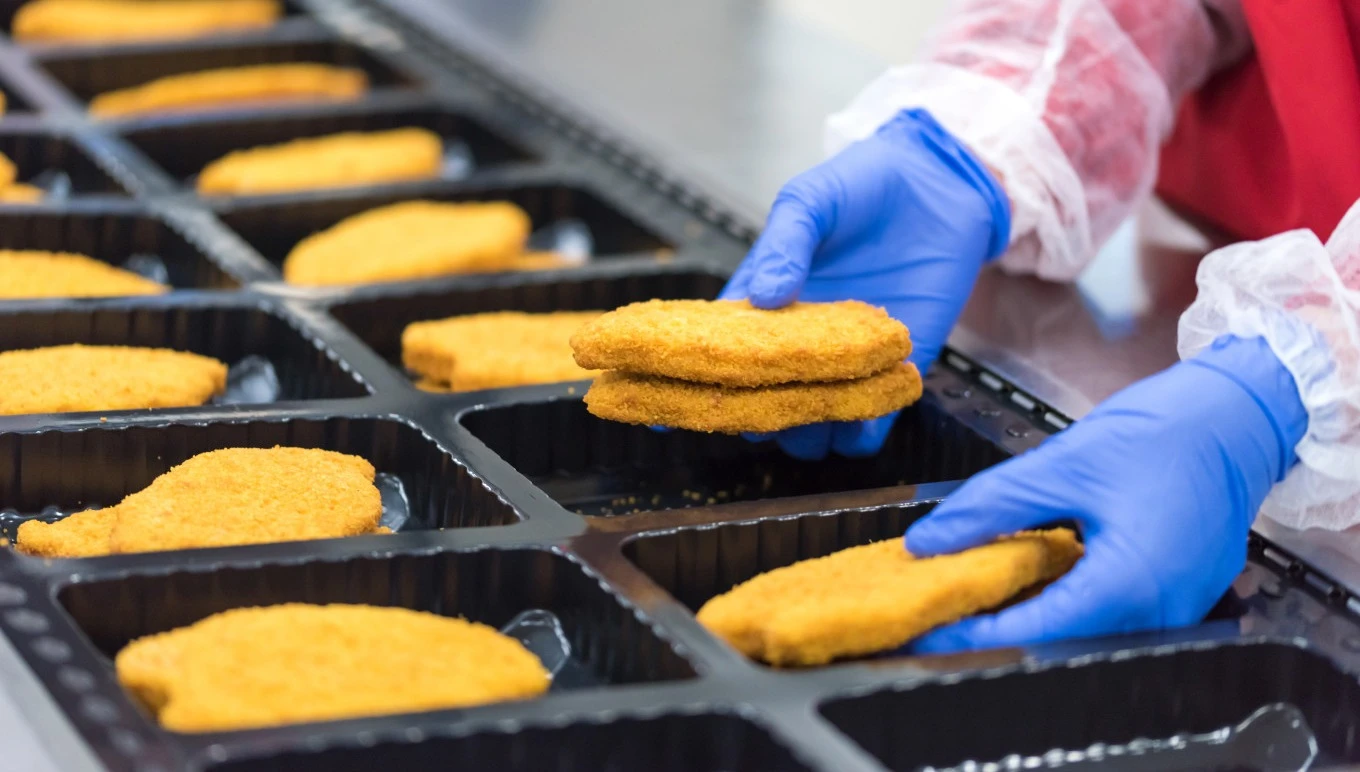 Chicken patties being packaged in plastic containers.