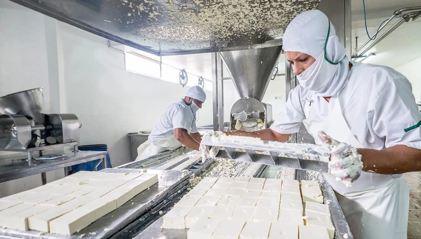 De drie stappen in zuivelproductie die een betere ERP-oplossing nodig hebben