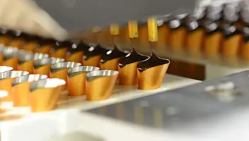 Chocolates on conveyor belt in factory