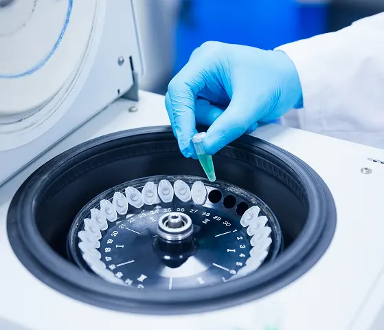 Pharma and Biotech