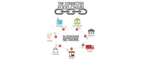 Blockchain graph