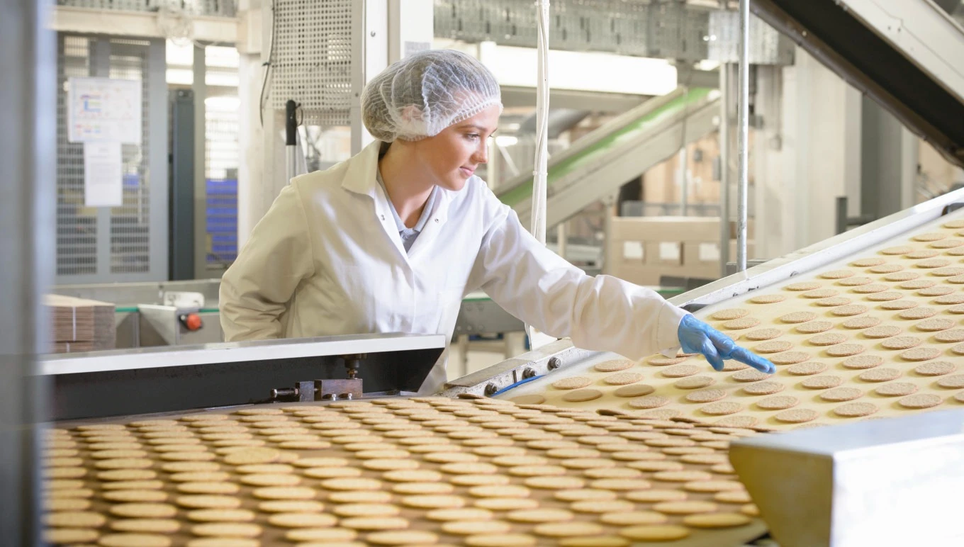 A food facility worker observes cookies rolling down a conveyer.