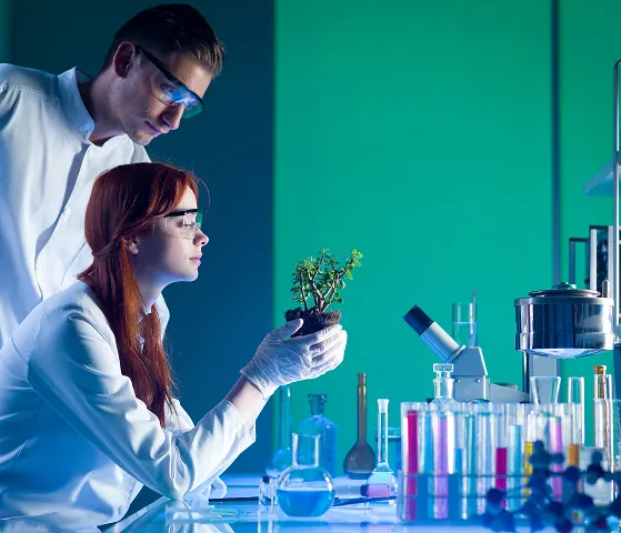 Agrochemical and Seed