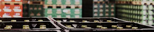 Bottled drinks in crates in warehouse