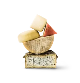 Stack of cheese blocks