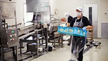 Workers with protective clothing working in food processing plant