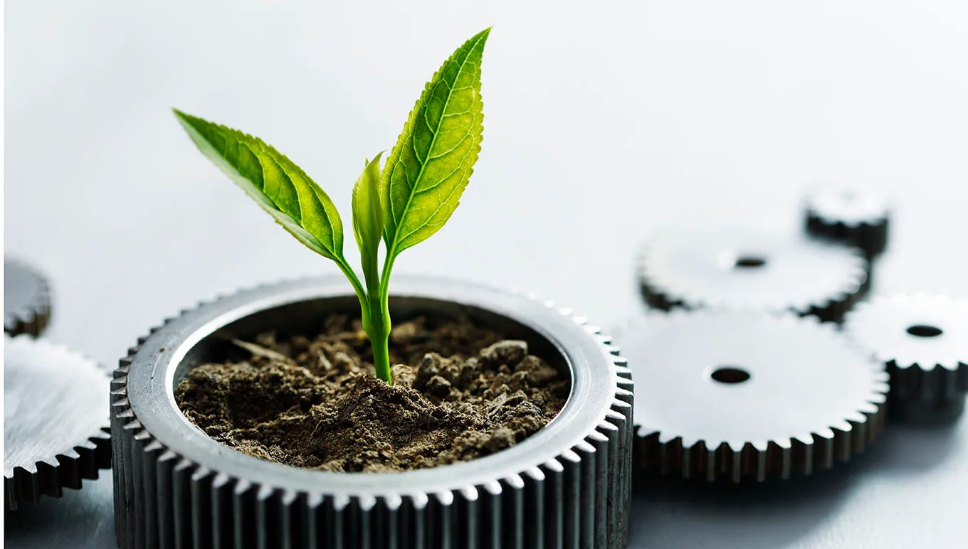 card-sustainability-in-consumer-goods-supply-chain