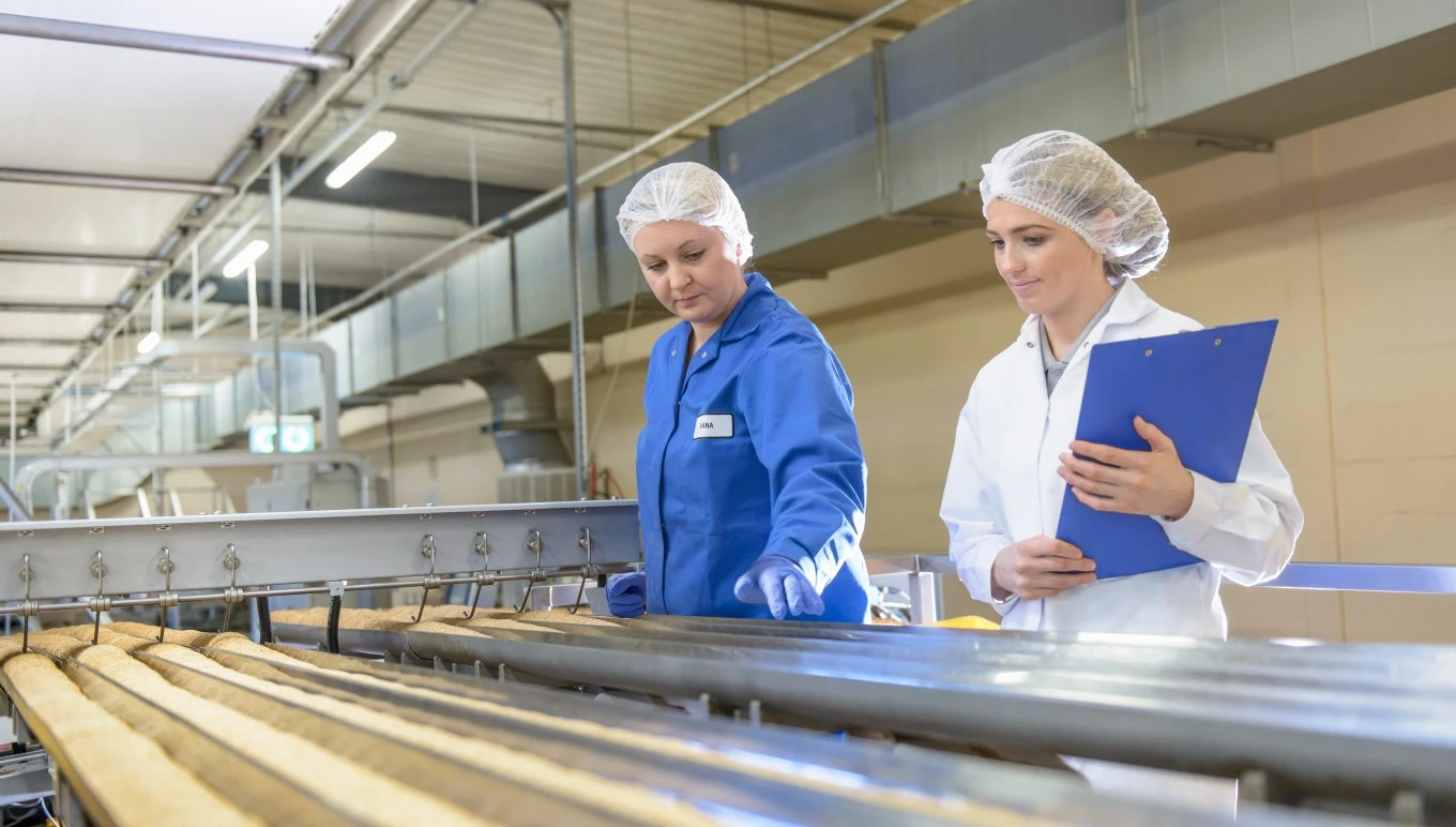 Food manufacturing workers observe products rolling down a conveyer.