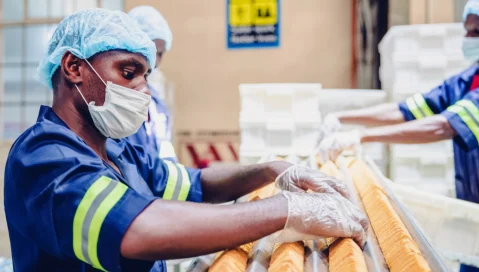 A food factory worker inspects crackers as they move down a conveyer.