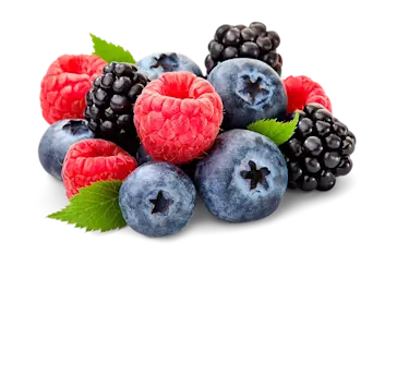 Fresh berries