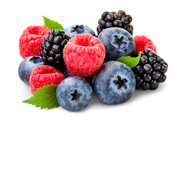 Fresh berries