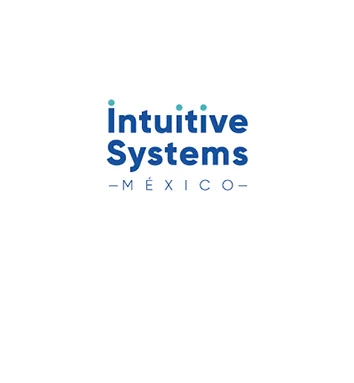 Partner Card - Intuitive Systems company logo