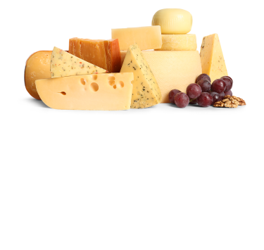 Cheese blocks