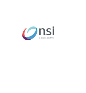 Partner Card - nsi company logo