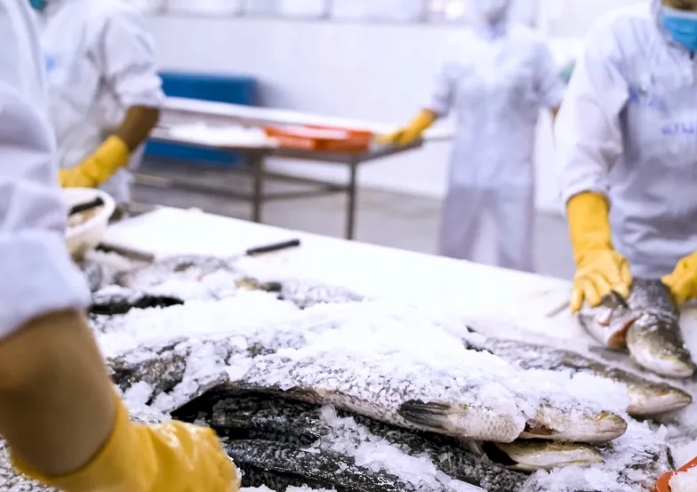 Unify All Your Meat and Seafood Systems With Aptean AppCentral