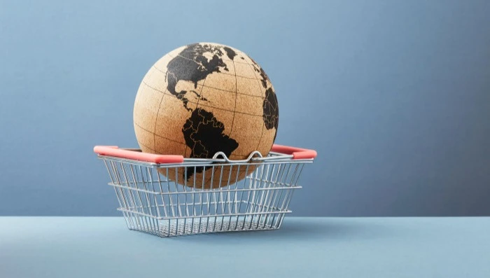 Globe inside shopping basket