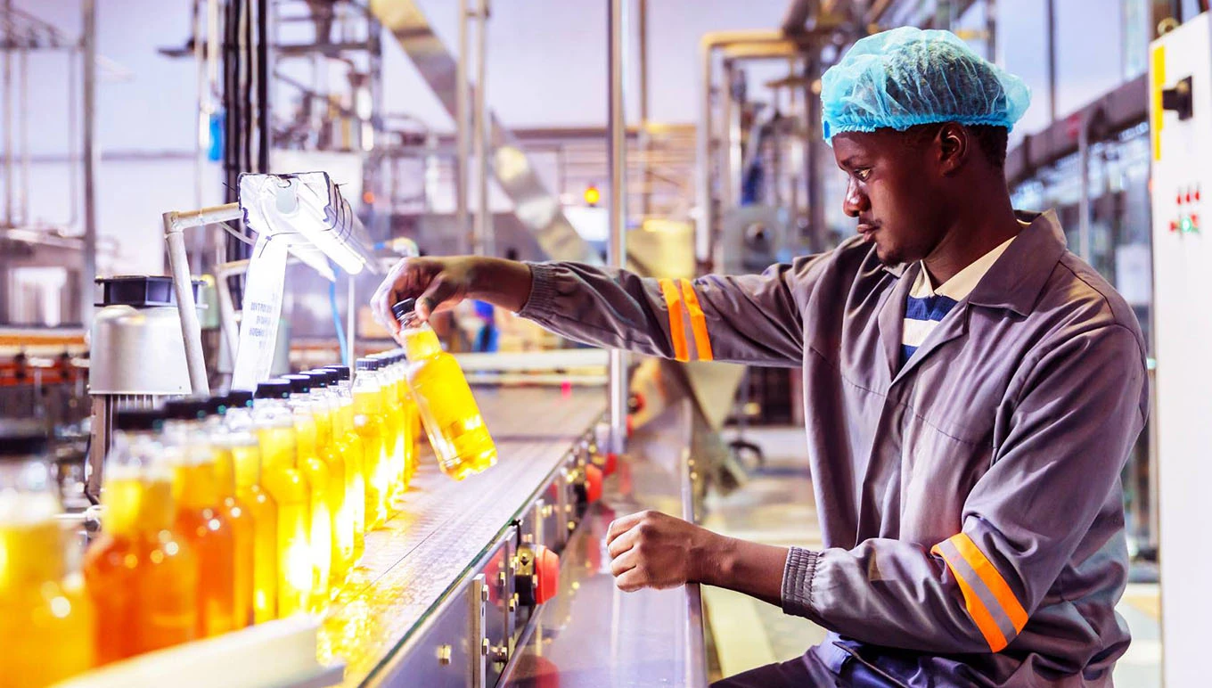 man inspecting bottles on assembly line