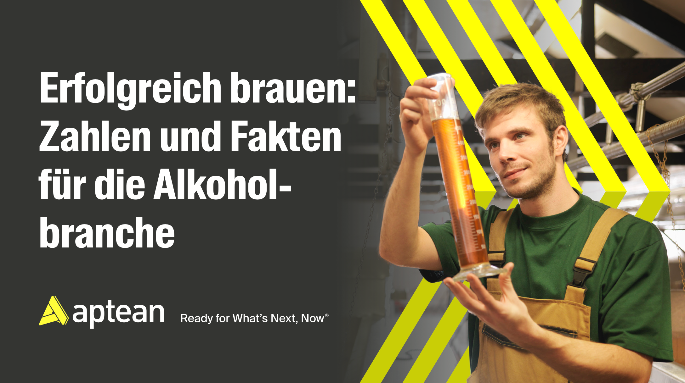 Brewing Success: Alcoholic Beverages Industry Insights