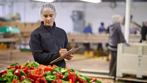 A fresh produce supply chain manager surveys inventory in the warehouse.