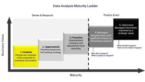 Data analysis maturity chart