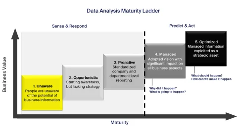 Data analysis maturity chart
