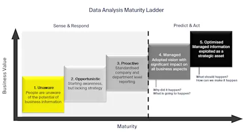 Data analysis maturity chart