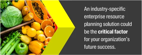 Industry-specific ERP solution could be the critical factor for your organization’s future success