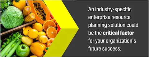 Industry-specific ERP solution could be the critical factor for your organization’s future success