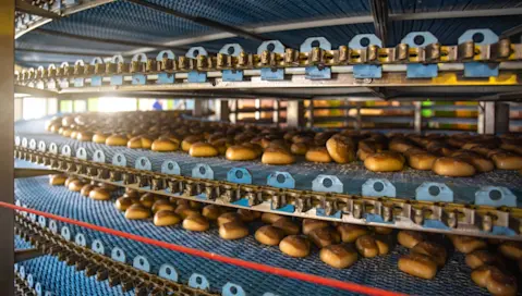 Cakes cool on multi-tiered conveyer belts.