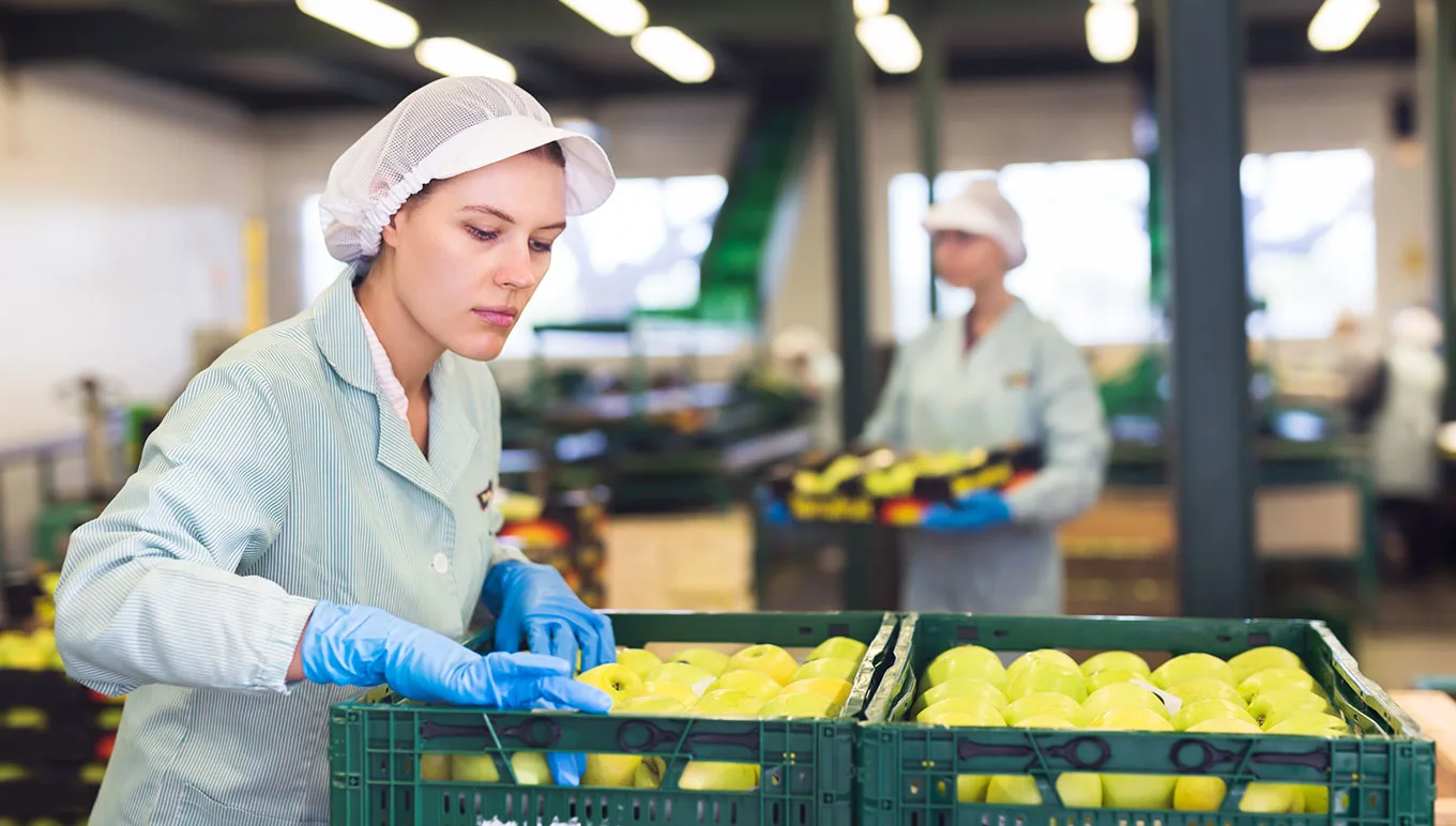 The Evolution of Produce Pro Software-Meet Aptean Fresh Produce ERP