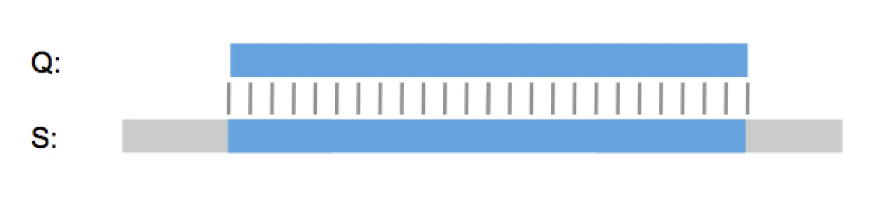 card-patent-sequence-search-youre-wrong-img-best-alignment