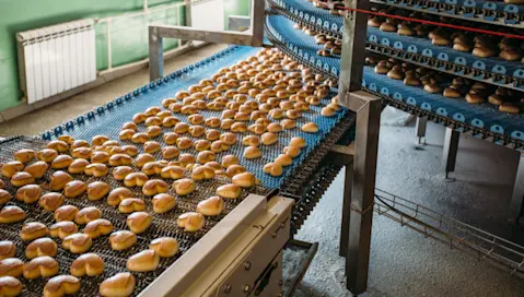 A batch of cookies rolls along a conveyer belt.