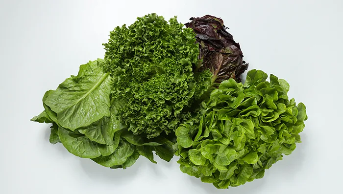 Florette Cuts Engineering Downtime by 79% With Agility CMMS