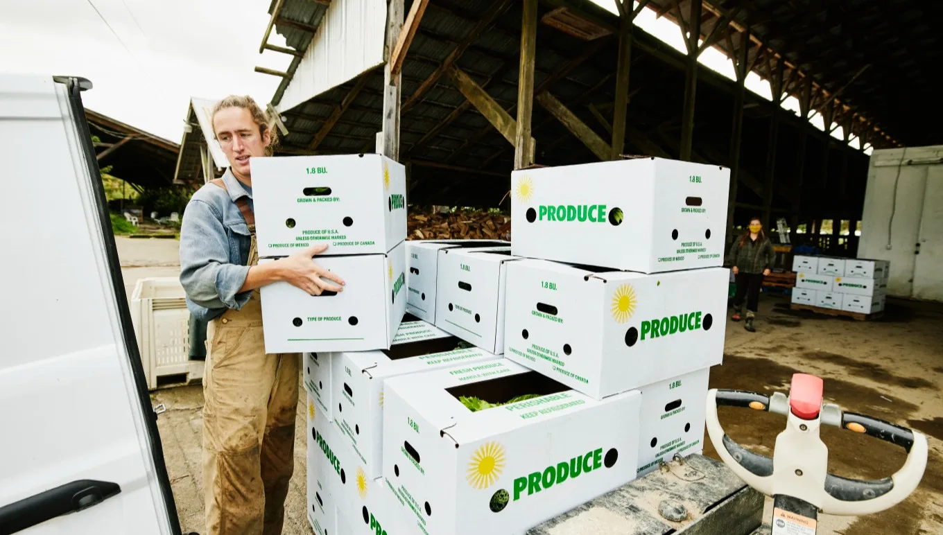 Succeeding in Food Supply Chain Management with Specialised Solutions