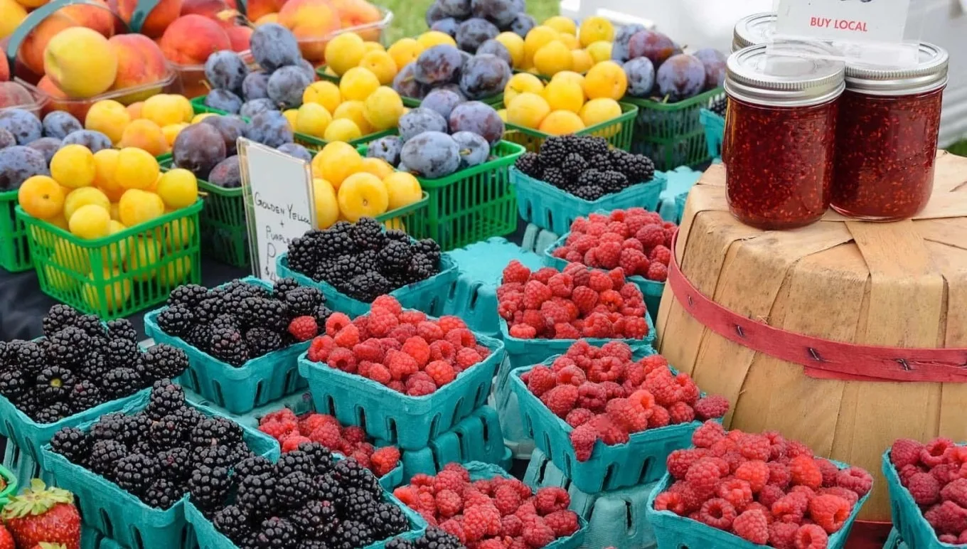 Why Farm-to-Fork Transparency Is Essential for Food and Beverage Manufacturers