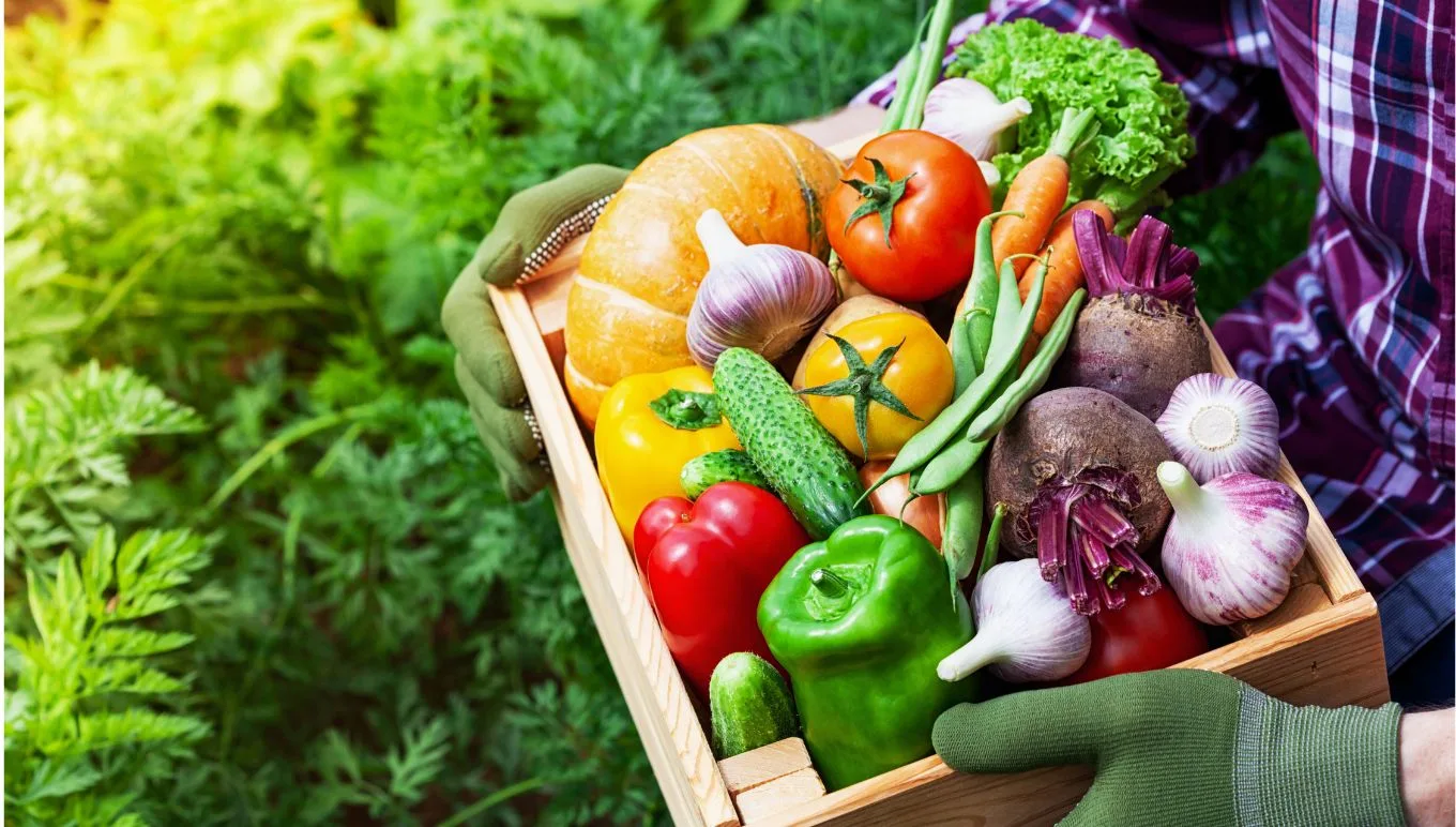 Top 5 2025 Food and Beverage Tech Trends