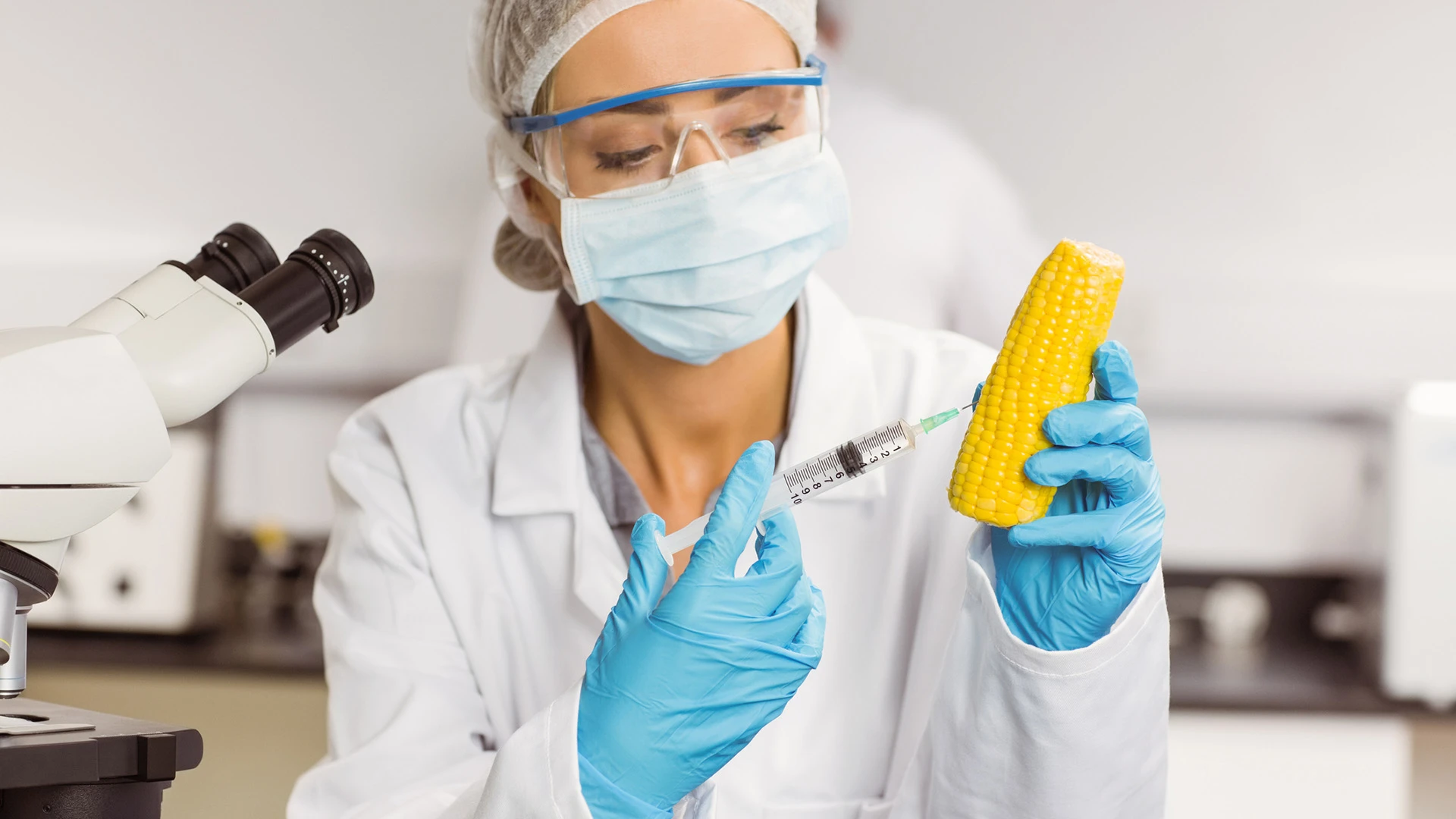 Food scientist holding corn