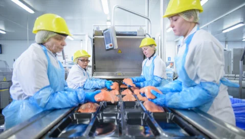 Workers in a chicken plant pack meat in plastic containers.