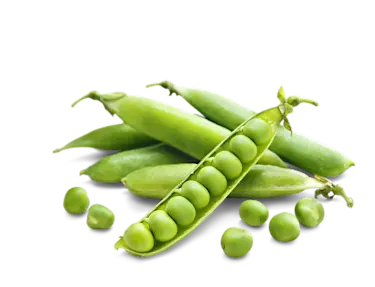 Pea pods